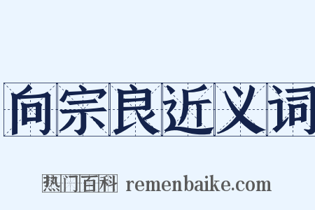 向宗良近义词是什么意思的图片